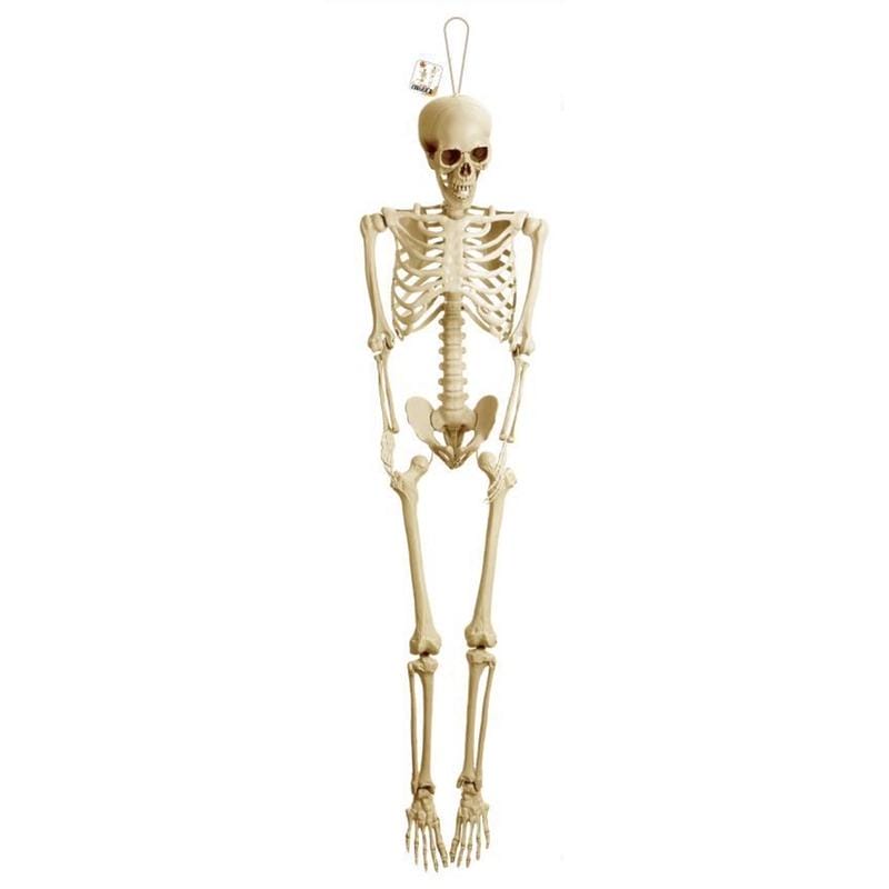 Halloween Esqueleto 3D Articulado 165 cm